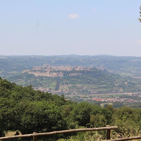 Agriturismo Fattoria Poggio Boalaio Orvieto Exterior photo