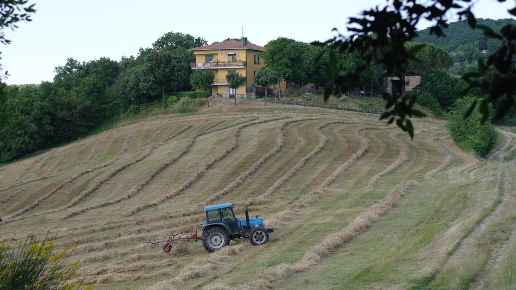 Agriturismo Fattoria Poggio Boalaio Orvieto Exterior photo