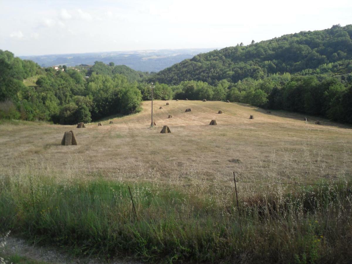 Agriturismo Fattoria Poggio Boalaio Orvieto Exterior photo